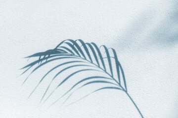 Palm tree leaf shadow on white textured wall background, tropical leaves silhouette on light surface, abstract plant branch decoration, floral pattern backdrop, foliage border, art summer nature frame