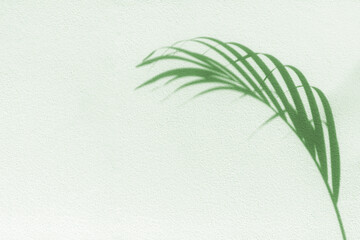 Palm tree leaf shadow on white textured wall background, tropical leaves silhouette on light surface, abstract plant branch decoration, floral pattern backdrop, foliage border, art summer nature frame