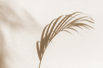 Palm tree leaf shadow on white textured wall background, tropical leaves silhouette on light surface, abstract plant branch decoration, floral pattern backdrop, foliage border, art summer nature frame