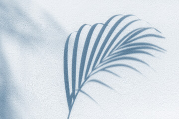 Palm tree leaf shadow on white textured wall background, tropical leaves silhouette on light surface, abstract plant branch decoration, floral pattern backdrop, foliage border, art summer nature frame