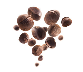 Ripe chestnuts levitate on a white background