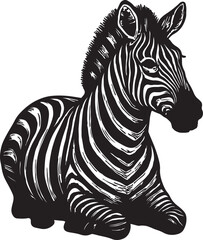 Black and white woodcut illustration of a young zebra lying down with its head turned to the side