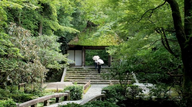 Japanese temple gate in summer surround by lush landscape, Honenin temple, Kyoto city, Japan.