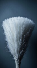 Soft White Feathers Fanned Out Against Dark Background