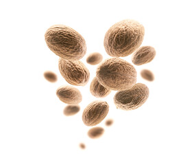 Ripe nutmegs levitate on a white background