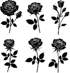 Obraz premium Black and White Rose Silhouettes,Vector Graphics of Rose Flowers, Buds, and Stems for Design Elements and Floral Illustrations