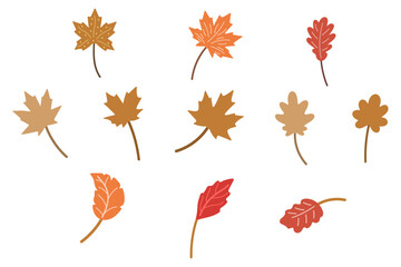 Maple and Oak Fall Leaves Illustration Set
