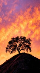 Silhouette tree on hilltop at sunset