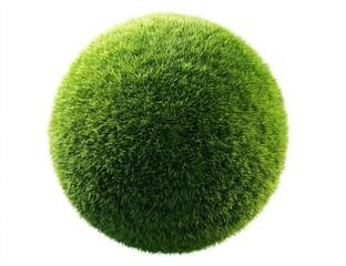 Close-up of a perfectly round, lush green bush on a