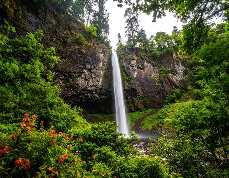 Lush waterfall cascading down a rocky cliff face, surrounded by verdant forest
