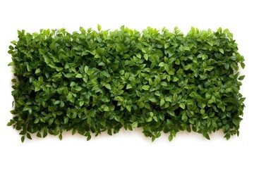 Naklejka premium Flat green tree wall hedge plant herbs leaf.