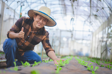 Successful farmer in his crop farm is smiling happily.raising his hands and enjoy his farm