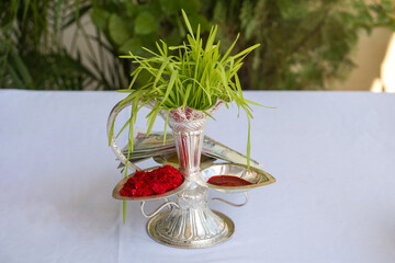 Tika and Jamara placed in a silver utensil with barley sprouts, money, and fruits for the Vijaya Dashami ceremony during Dashain festival in Nepal.