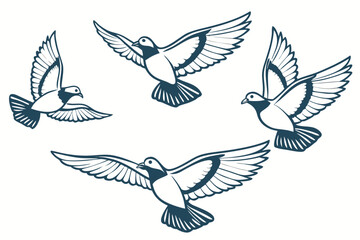 Fototapeta premium set of dove