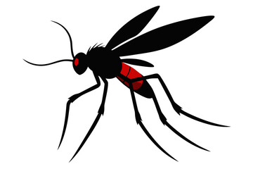 spider on a white background