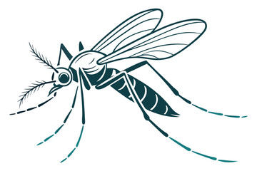 spider on a white background