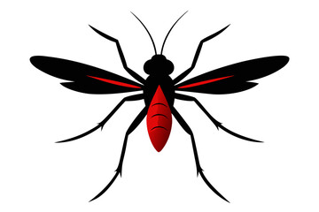 dragonfly vector illustration