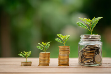 Wealth growth coins with small sprouting plant