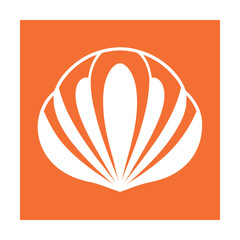 White Shell Abstract