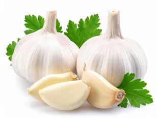 Fresh Garlic Bulbs and Cloves with Parsley - A Culinary Delight.