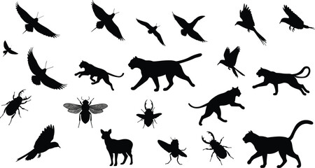 Wild animal and insect silhouettes collection with cats, tigers, beetles, flies, and flying birds in vector illustration