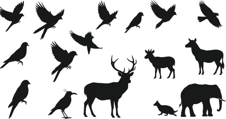 Wild animal and bird silhouette set with flying birds, deer, horse, kangaroo, elephant, crow, nature vector illustration