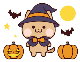 ハロウィンのトラ猫