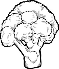 Detailed Monochrome Illustration of Broccoli Floret Isolated on Transparent Background