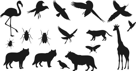 Wild animal silhouettes collection, wolves, giraffe, flamingo, flying birds, insects, butterfly, crow, vector illustration isolated design