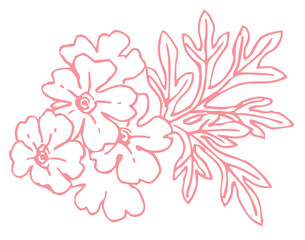 植物のスケッチ素材。野の草花。ベクターイラスト素材。