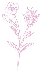 植物のスケッチ素材。野の草花。ベクターイラスト素材。