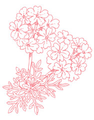 植物のスケッチ素材。野の草花。ベクターイラスト素材。