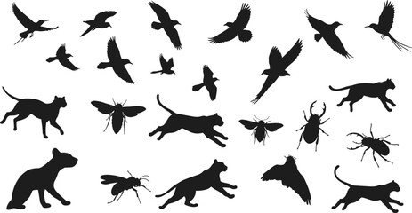 Wild animal silhouettes, flying birds, running cats, beetles and insects, black vector shapes, isolated wildlife illustrations, nature stock design