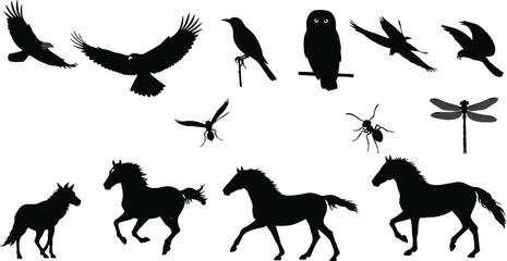 Wild animal silhouettes, flying birds, owl, insects, dragonfly, horses running, black vector shapes, isolated wildlife illustrations, nature design