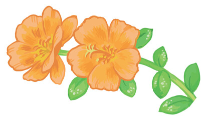 植物のスケッチ素材。野の草花。ベクターイラスト素材。