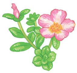 植物のスケッチ素材。野の草花。ベクターイラスト素材。
