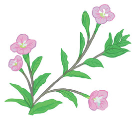 植物のスケッチ素材。野の草花。ベクターイラスト素材。