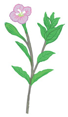 植物のスケッチ素材。野の草花。ベクターイラスト素材。