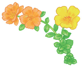 植物のスケッチ素材。野の草花。ベクターイラスト素材。