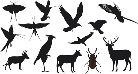 Wild animal silhouettes, flying birds, insect beetle, deer and goat, black vector shapes, isolated nature illustrations, wildlife design, stock graphics