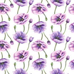 Watercolor Anemone flower with green stem and pink purple buds floral seamless pattern. Hand painted spring or summer fabric design, packaging, wallpaper on Isolated white background romantic clipart