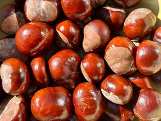 close up of chestnuts