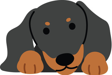 Adorable dachshund character peeking, black and tan dachshund dog flat design, playful small dog breed, isolated friendly dachshund pet cartoon