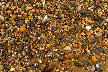 An assortment of vibrant pebbles in varying shapes, colors, and textures glisten with moisture on a sandy shoreline, creating a natural mosaic that highlights the beach's geological diversity