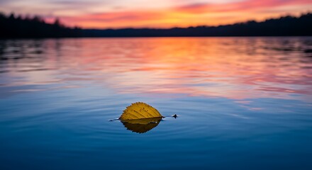 Single yellow leaf floats on calm lake water at sunset with colorful sky