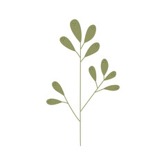 Fototapeta premium Elegant Floral and Botanical Illustration