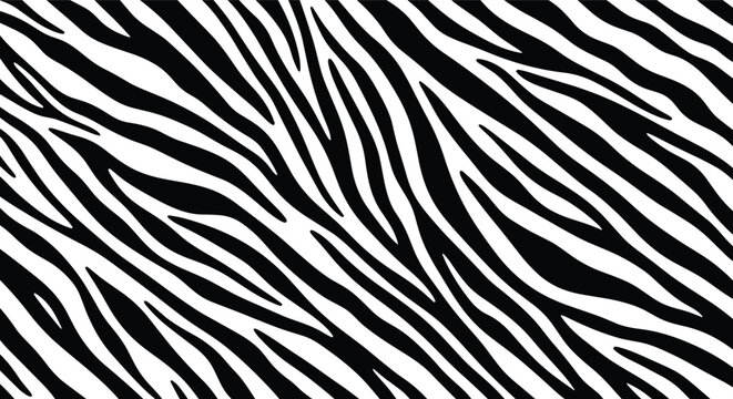 Abstract Black and White Zebra Stripe Pattern Background Texture