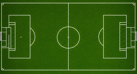 Obraz premium Overhead view of a digitally rendered soccer field with visible markings
