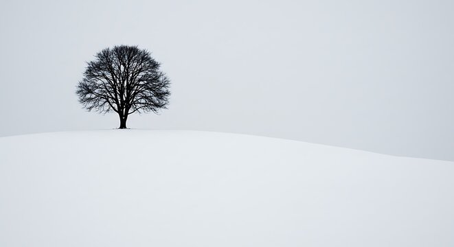 Solitary bare tree silhouetted against a pale winter sky on a snow-covered hill