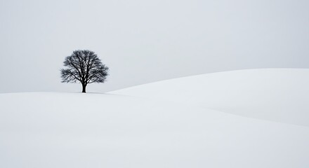 Solitary bare tree silhouetted against a vast, overcast winter sky in a snow-covered landscape